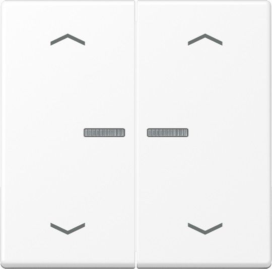 Wippe mit Lichtleiter A 102 KO5P BF WWM