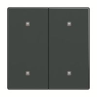 Wippe 2-fach 2570-20-81