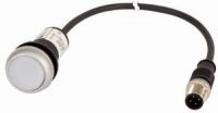 Leuchtdrucktaste C22-DL-W-K10-24-P1
