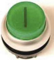 Leuchtdrucktaste M22-DLH-G-X1