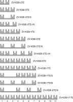 Phasenschiene ZV-KSBI-5TE+HI