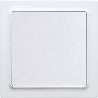 Funktaster F2T55E-wg