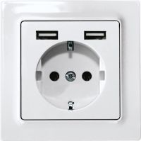 Schutzkontakt-Steckdose DSS55E+2xUSBA-wg