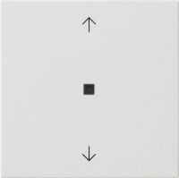 Funk-Bedienaufsatz 549403 reinweiß glänzend