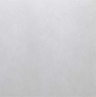 Ersatz-Luftfilter zu LF 25 ELF 250