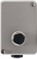 Thermostat 60001525