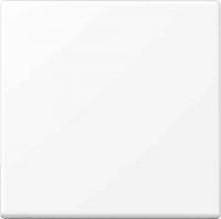 Blind-Abdeckung A594-0PLWWM