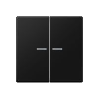 KNX RF Taster 2fach A 10921 ST RF BF SWM