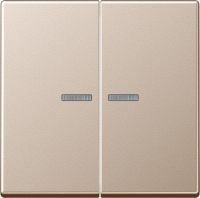 KNX RF Taster 2fach A 10921 ST RF CH