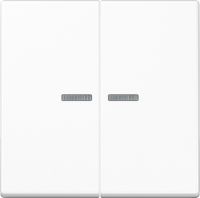 KNX RF Taster 2fach A 10921 ST RF WW