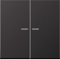 KNX RF Taster 2fach AL 10921 ST RF D