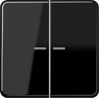 KNX RF Taster 2fach CD 10921 ST RF SW