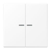 KNX RF Taster 2fach LS 10921 ST RF WWM