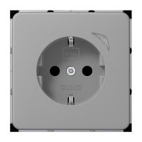 SCHUKO Steckdose 16 A 250V BT CD 1521 S GR