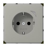 SCHUKO Steckdose 16 A 250V BT CD 1521 S PT
