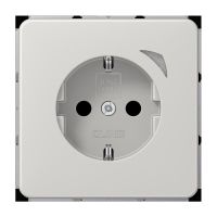 SCHUKO Steckdose 16 A 250V BT CD 1521 SE LG