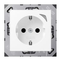 SCHUKO Steckdose BT A 1521 SE WWM