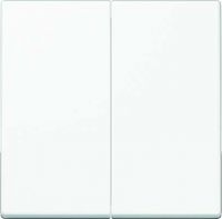 Steuertaste 2-fach A1702BFWW