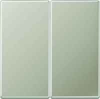 Steuertaste 2-fach ES1702