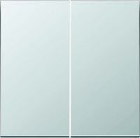 Steuertaste Standard 2-fach AL 1702 aluminium