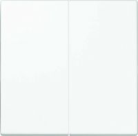 Steuertaste Standard 2-fach  LS 1702 WW alpinweiß