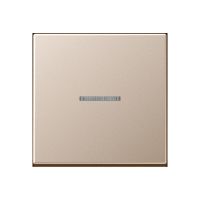 Taster 1fach BT A 17101 CH