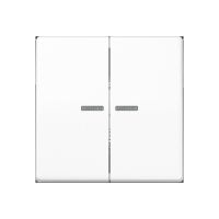 Taster 2fach BT A 17102 WW