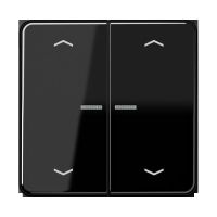 Taster 2fach BT CD 17102 P SW