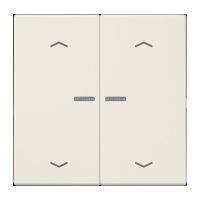 Taster 2fach BT LS 17102 P