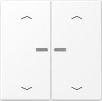 Wippe mit Lichtleiter LS 102 KO5P WWM