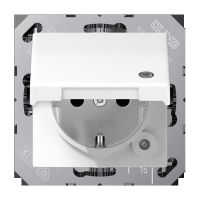 Wippe mit Lichtleiter SPAS 591 T1KO5 WW
