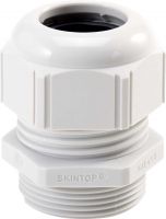 Kabelverschraubung STR Pg13,5 R7035 LGY