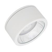 LED-Aufbaudownlight IP65 DLSU.DN250P4584036DW