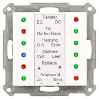 LED Anzeige SCN-LED55.01