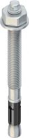 Durchsteckanker DAZ 10X30 E4