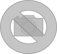 Steigetrassendeckel STID 250.900