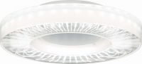 LED-Anbauleuchte IRIS-A 4500-840-DA