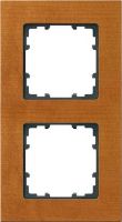 Rahmen 2-fach 5TG1102-1