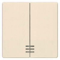 Serienwippe m.Fenster 5TG6274