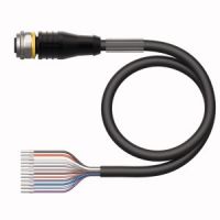 Anschlussleitung RKS12T-5/TEL