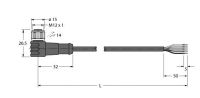Anschlussleitung WKCV4.5T-10/TFW