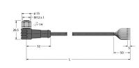 Anschlussleitung WKCV8T-15/TFW