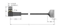 Anschlussleitung WSS12T-5/TXL