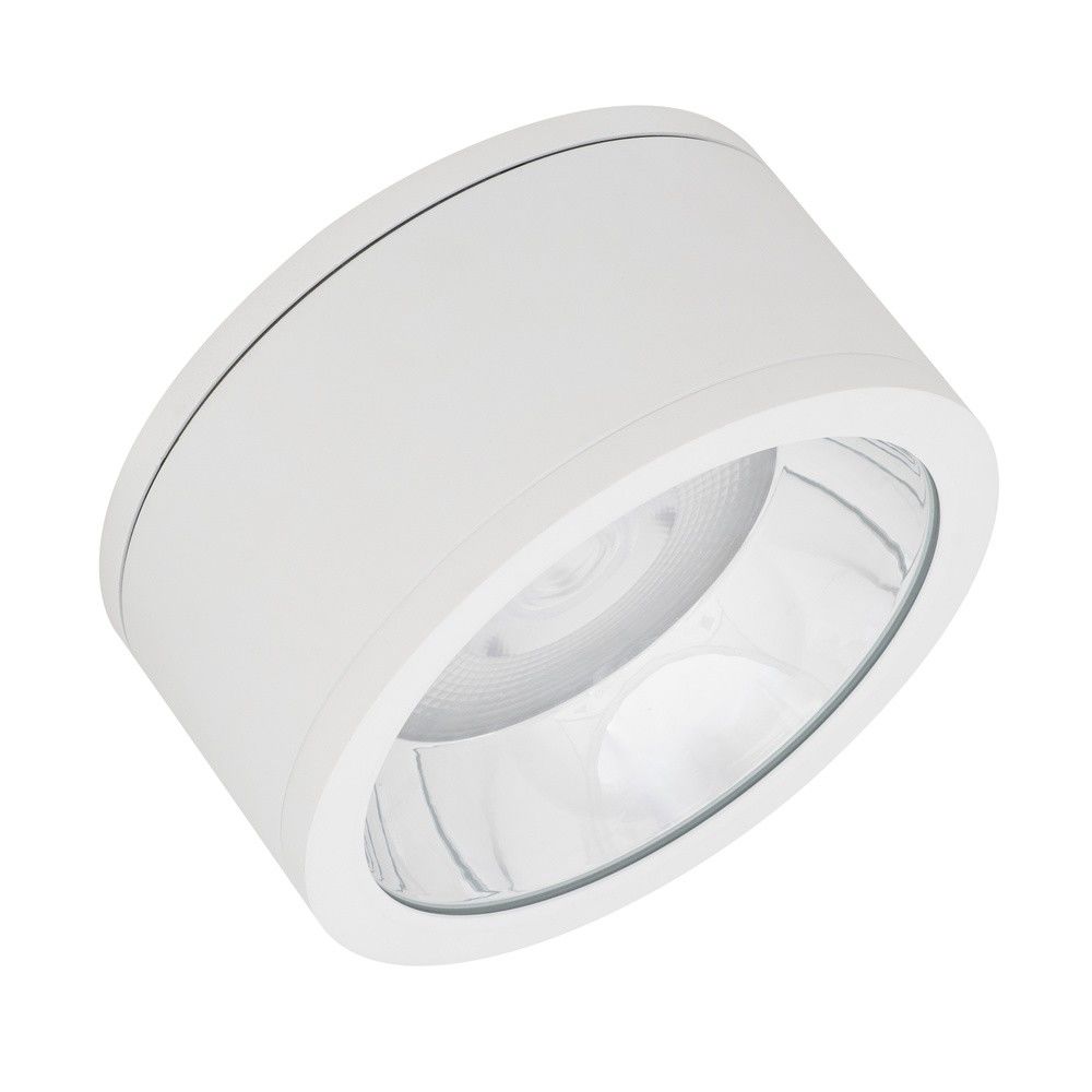 LED-Aufbaudownlight IP65 DLSU.DN250P4584036DW