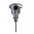 Widerstandsthermometer 00542801