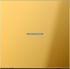 eNet Funk-Steuertaste FM GO 1700