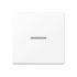 KNX RF Taster 1fach A 10911 ST RF BF WWM
