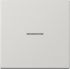 KNX RF Taster 1fach LS 10911 ST RF LG