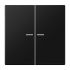 KNX RF Taster 2fach LS 10921 ST RF SWM