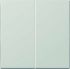 Steuertaste Standard 2-fach LS 1702 LG lichtgrau